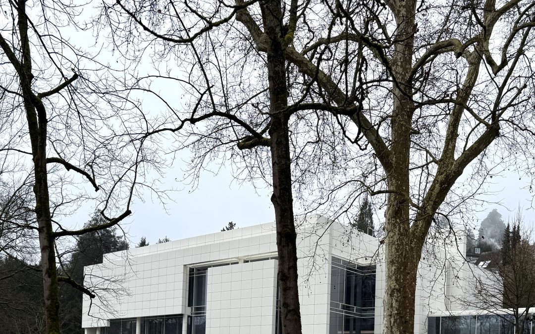 Baden-Baden / Frieder-Burda Museum